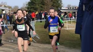 KVP 2025-02-16 Cross Cup Diest